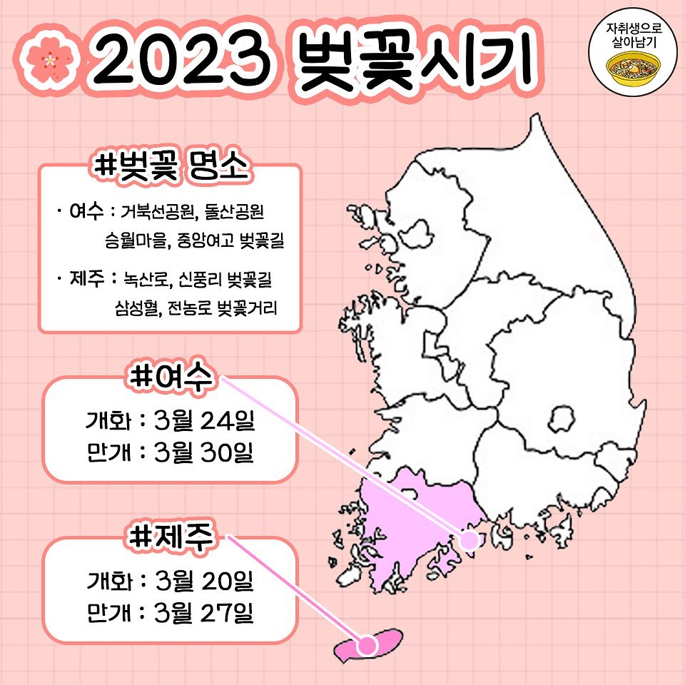 2023년 지역별 벚꽃 개화·만개 시기 총정리
